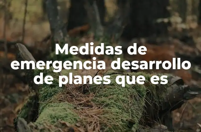 Medidas de Emergencia Desarrollo de Planes que es