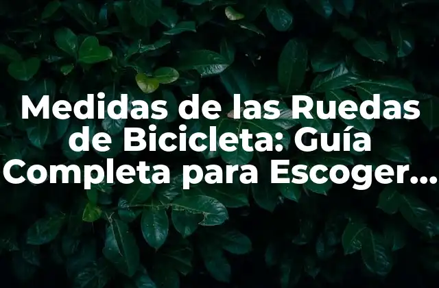 Medidas de las Ruedas de Bicicleta: Guía Completa para Escoger la Rueda Correcta