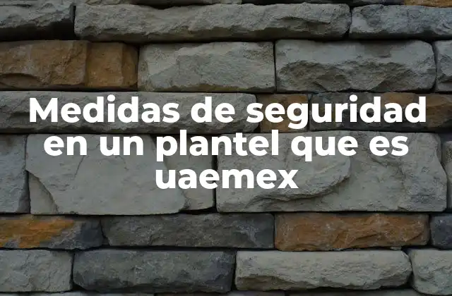 Medidas de Seguridad en un Plantel que es Uaemex