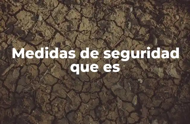 Medidas de Seguridad que es