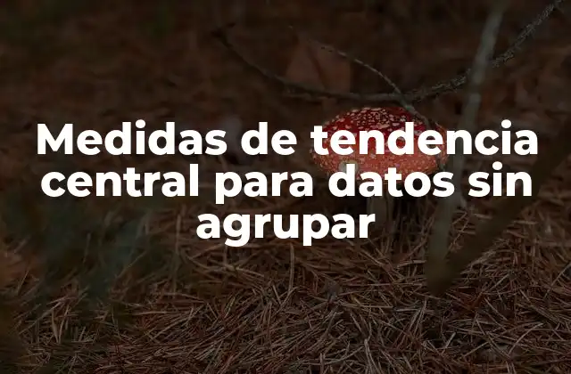 Importancia de las medidas de tendencia central