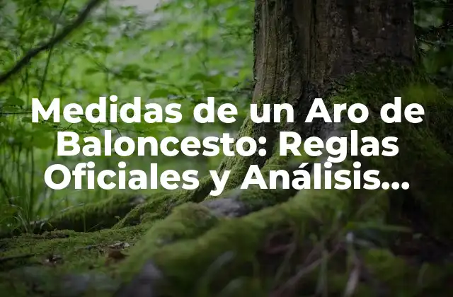 Medidas de un Aro de Baloncesto: Reglas Oficiales y Análisis Detallado