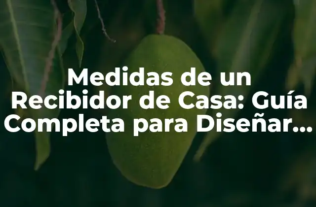 Medidas de un Recibidor de Casa: Guía Completa para Diseñar Tu Espacio