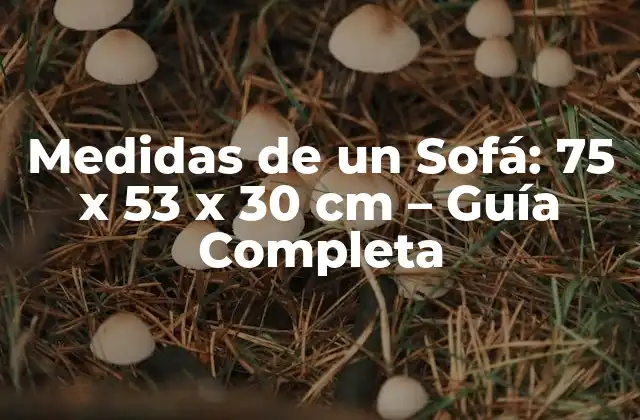 Medidas de un Sofá: 75 X 53 X 30 Cm – Guía Completa