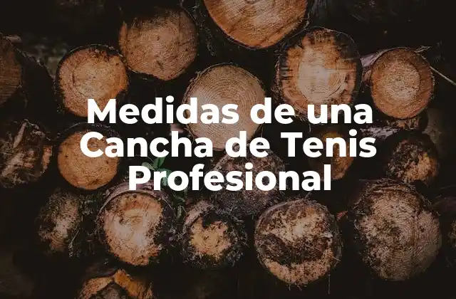 Medidas de una Cancha de Tenis Profesional