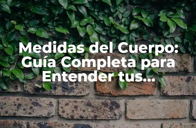 Medidas Del Cuerpo: Guía Completa para Entender Tus Proporciones