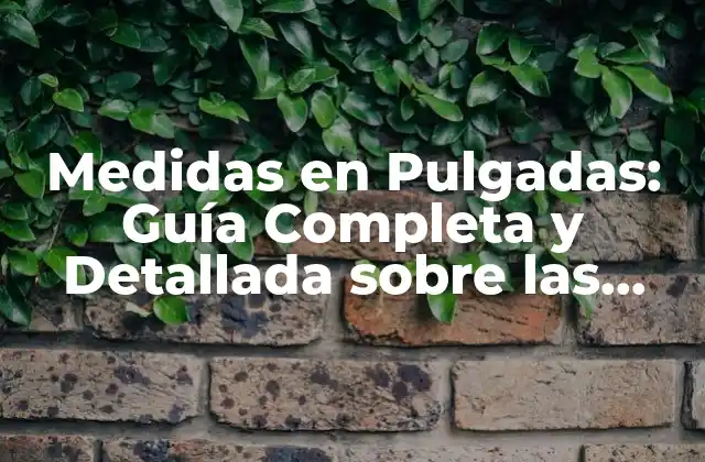 Medidas en Pulgadas: Guía Completa y Detallada sobre las Unidades de Longitud