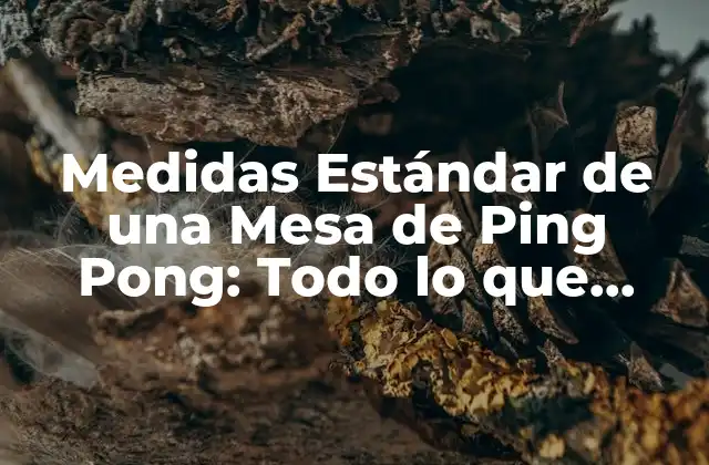 Medidas Estándar de una Mesa de Ping Pong: Todo Lo que Necesitas Saber