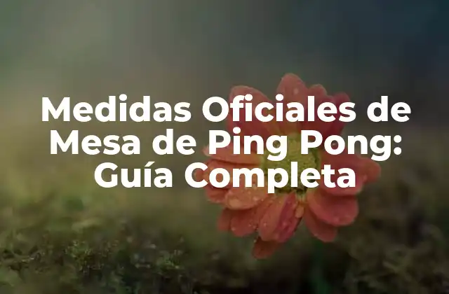 Medidas Oficiales de Mesa de Ping Pong: Guía Completa