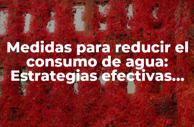 Medidas para Reducir el Consumo de Agua: Estrategias Efectivas para Ahorrar Agua