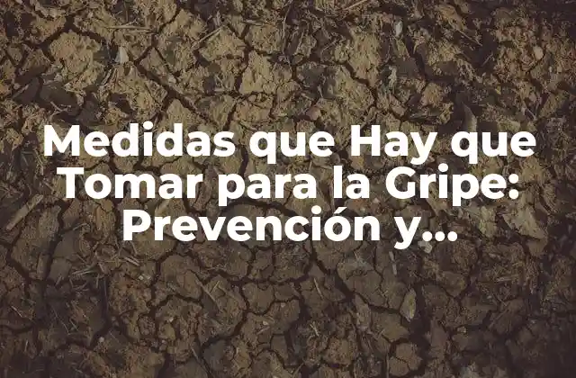 Medidas que Hay que Tomar para la Gripe: Prevención y Tratamiento