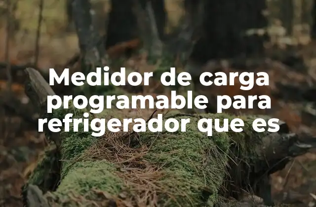 Medidor de Carga Programable para Refrigerador que es