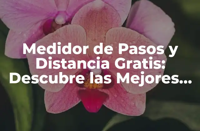 Medidor de Pasos y Distancia Gratis: Descubre las Mejores Opciones