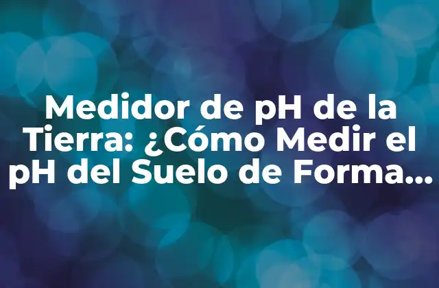 Medidor de Ph de la Tierra: ¿cómo Medir el Ph Del Suelo de Forma Accurada?