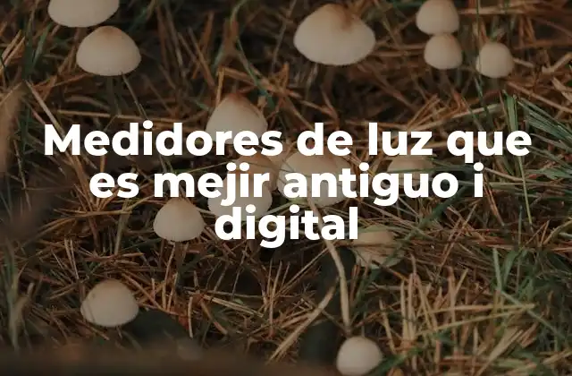 Medidores de Luz que es Mejir Antiguo I Digital