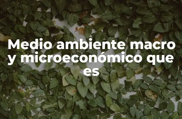 Medio Ambiente Macro y Microeconómico que es