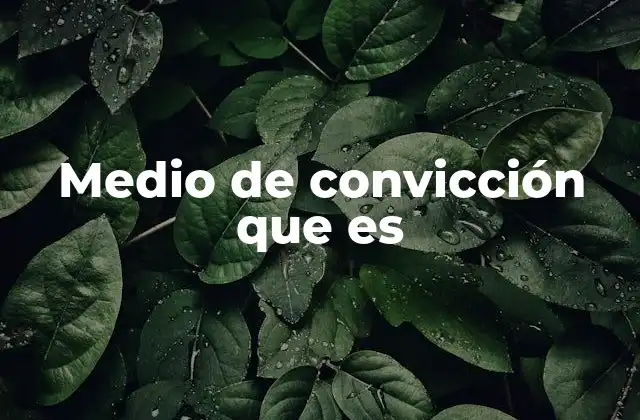 Medio de Convicción que es