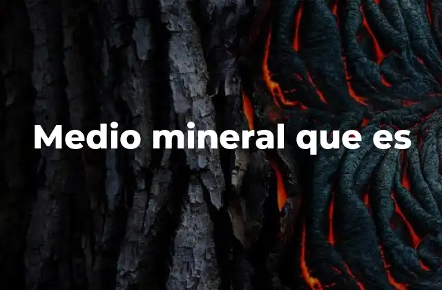 Medio Mineral que es