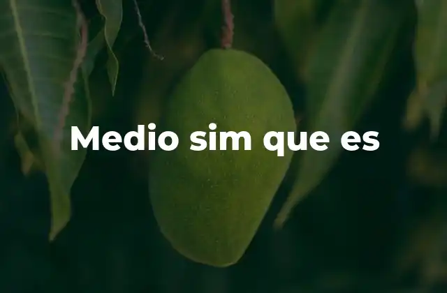 Medio Sim que es