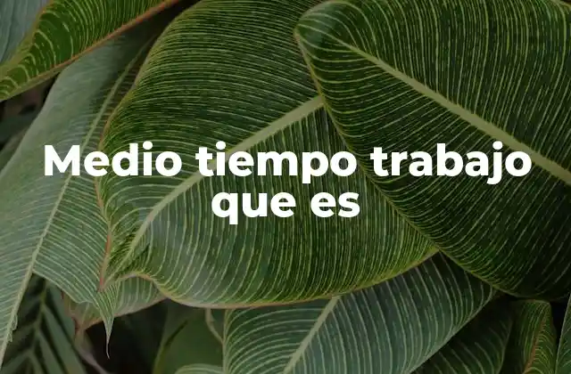 Medio Tiempo Trabajo que es