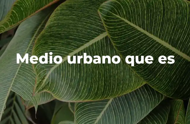 Medio Urbano que es 2 El entorno de la ciudad y su impacto en la vida moderna