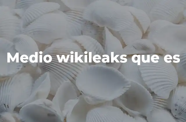 Medio Wikileaks que es
