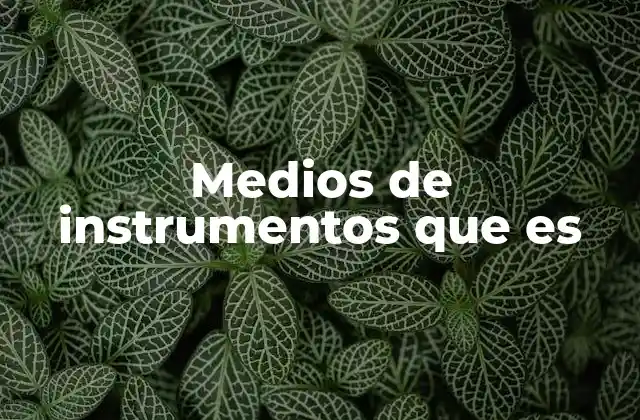 Medios de Instrumentos que es