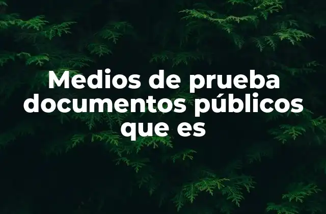 La importancia de los documentos oficiales en el proceso judicial