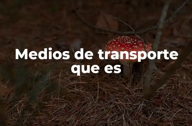 Medios de Transporte que es
