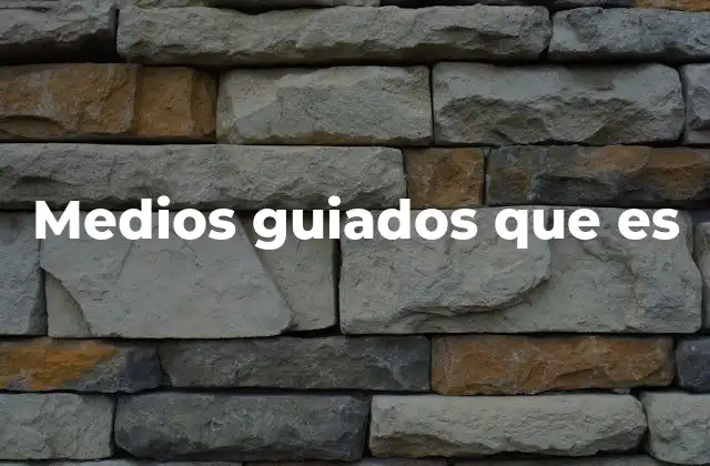 Tipos de medios guiados y su función en la comunicación