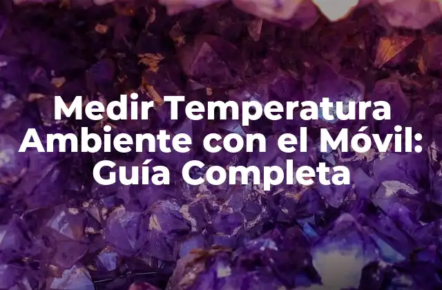 Medir Temperatura Ambiente con el Móvil: Guía Completa 2 ¿Por qué Medir la Temperatura Ambiente es Importante?