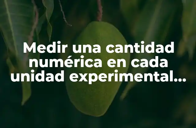 Medir una Cantidad Numérica en Cada Unidad Experimental que es