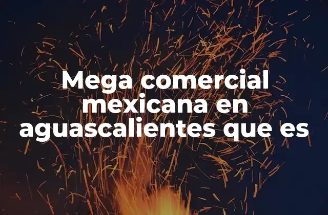 Mega Comercial Mexicana en Aguascalientes que es