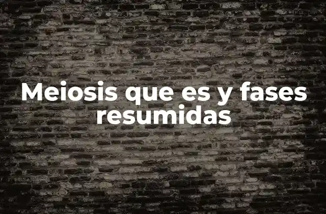 Meiosis que es y Fases Resumidas