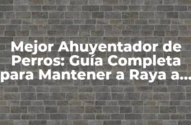 Mejor Ahuyentador de Perros: Guía Completa para Mantener a Raya a los Canes Indeseados