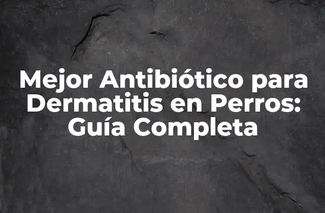 Causas de la Dermatitis en Perros