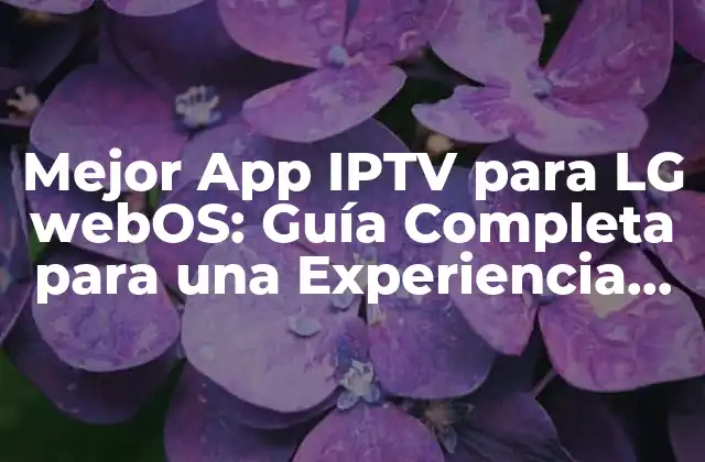 Mejor App Iptv para Lg Webos: Guía Completa para una Experiencia de Televisión Única