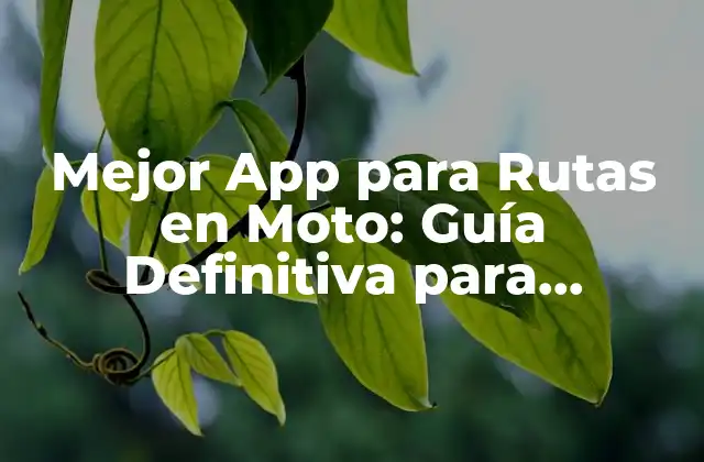 Mejor App para Rutas en Moto: Guía Definitiva para Motoristas
