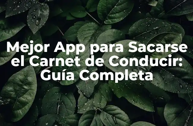 Mejor App para Sacarse el Carnet de Conducir: Guía Completa