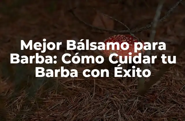 Mejor Bálsamo para Barba: Cómo Cuidar Tu Barba con Éxito