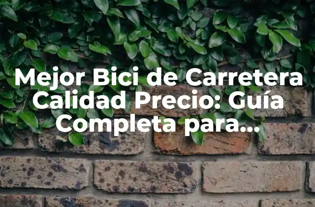 Mejor Bici de Carretera Calidad Precio: Guía Completa para Encontrar la Ideal