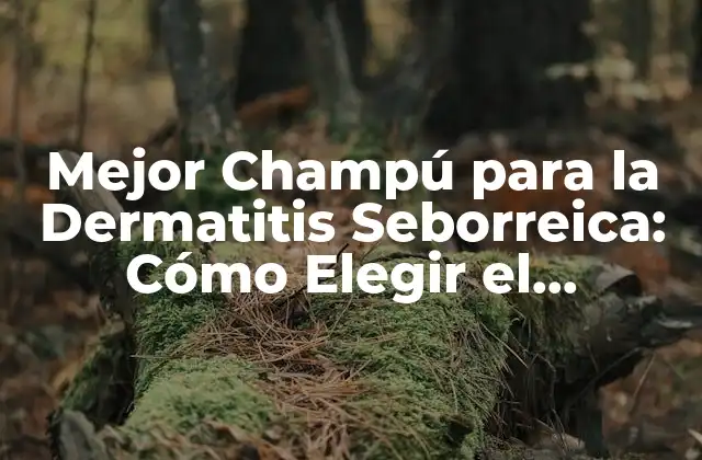 Mejor Champú para la Dermatitis Seborreica: Cómo Elegir el Producto Adecuado