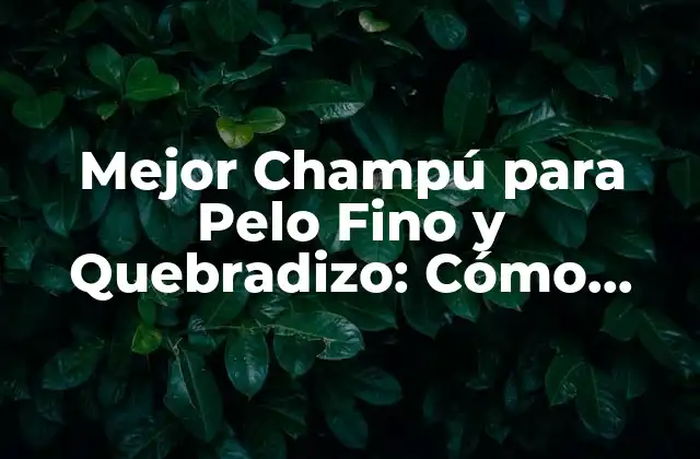 Mejor Champú para Pelo Fino y Quebradizo: Cómo Cuidar Tu Cabellera
