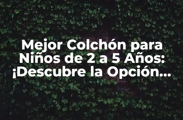 Mejor Colchón para Niños de 2 a 5 Años: ¡descubre la Opción Ideal!