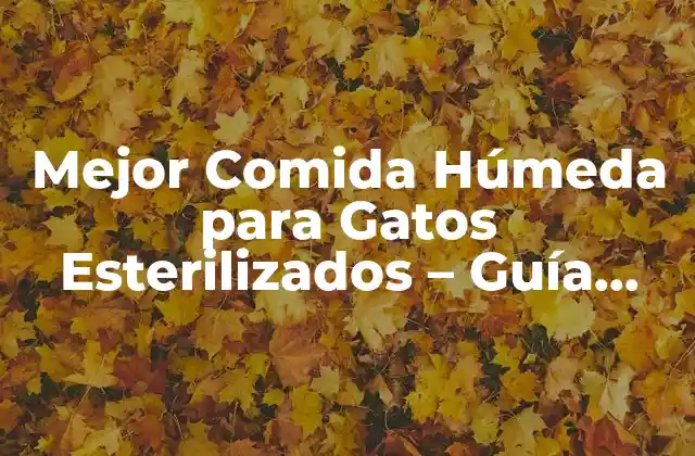 Mejor Comida Húmeda para Gatos Esterilizados – Guía Completa