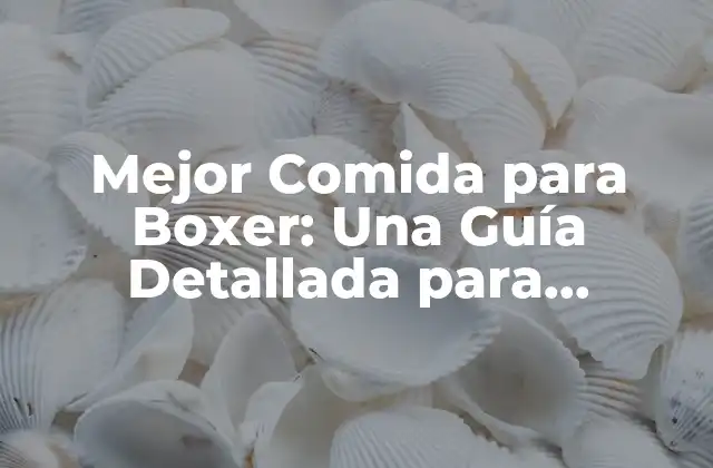 Mejor Comida para Boxer: una Guía Detallada para Mantener a Tu Perro Feliz y Saludable