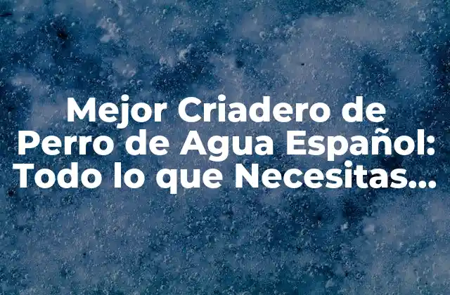 Mejor Criadero de Perro de Agua Español: Todo Lo que Necesitas Saber