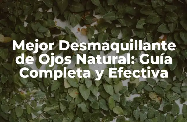 Mejor Desmaquillante de Ojos Natural: Guía Completa y Efectiva 2 ¿Por qué Debes elegir un Desmaquillante de Ojos Natural?
