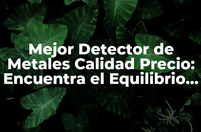 Mejor Detector de Metales Calidad Precio: Encuentra el Equilibrio Perfecto