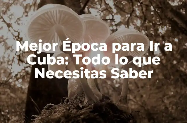Mejor Época para Ir a Cuba: Todo Lo que Necesitas Saber